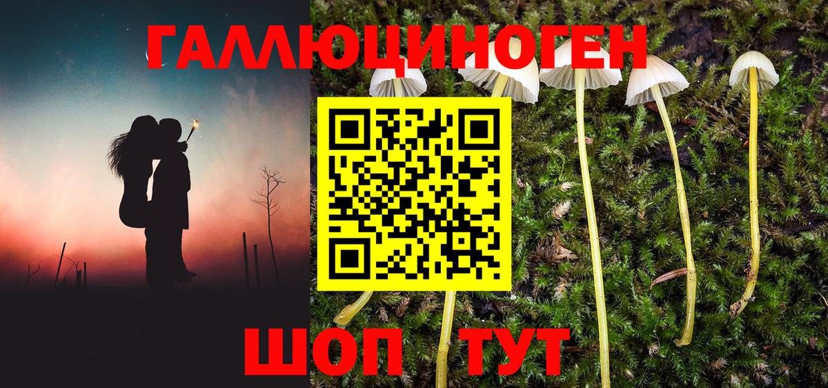 Псилоцибиновые грибы мухоморы Тимашёвск